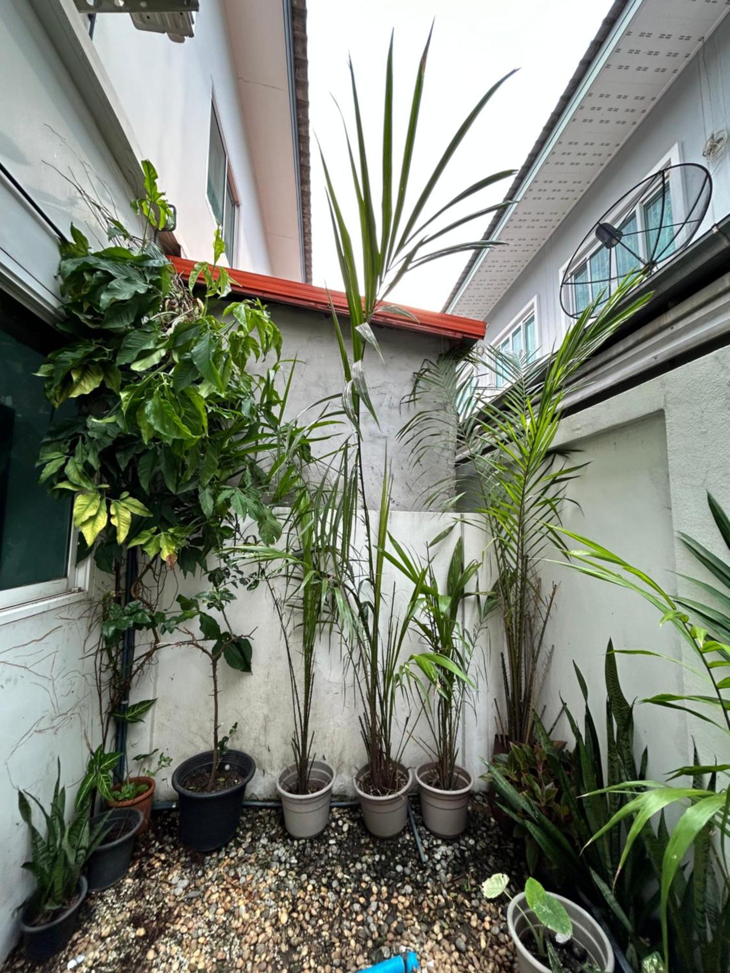 ไนซ์สเตย์ เฮาส์ แอทคลองสาม รังสิต คลองหลวง ปทุมธานี Nice Stay House At Khlong Sam - Rangsit - Khlong Luang - Phathumthani Екстериор снимка